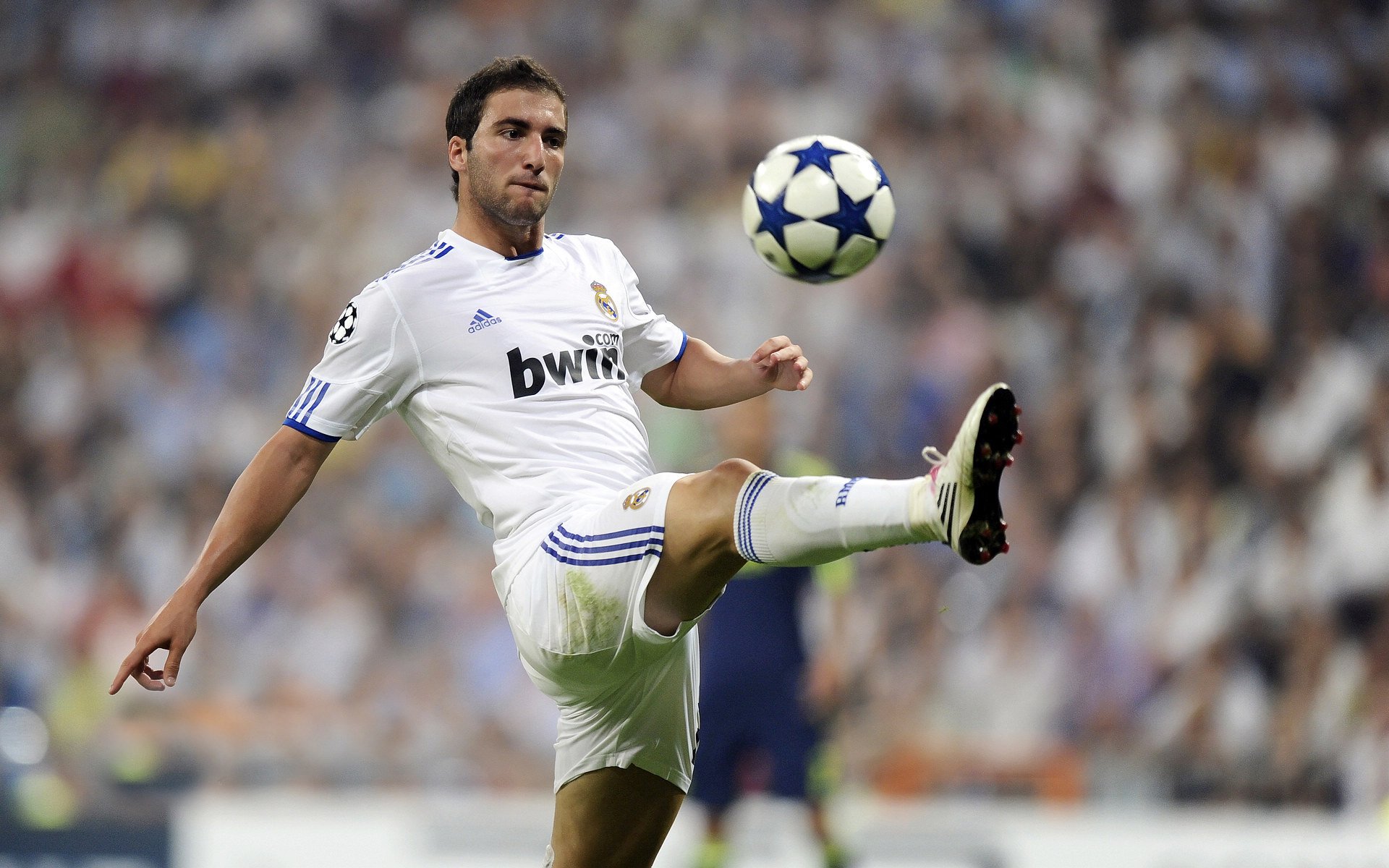 开云全站下载-世界俱乐部杯新月再创亚洲纪录，世界俱乐部杯新月再创亚洲纪录是多少  第1张