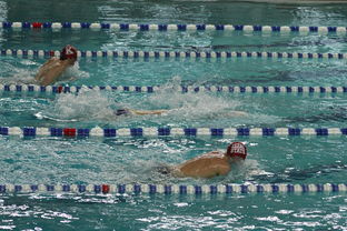 开云体育全站-中国游泳运动员世锦赛接力项目表现抢眼，中国游泳接力夺金  第1张